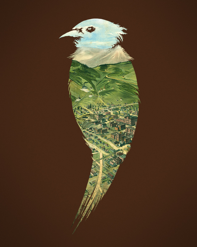 ...To The Birds ...To The Birds